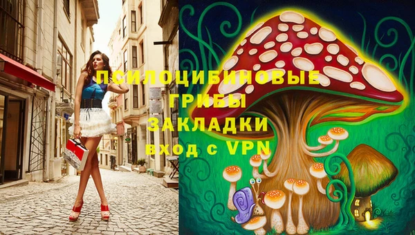 сатива Нефтекумск