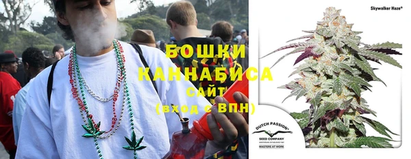 сатива Нефтекумск