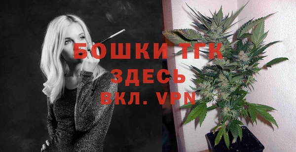 сатива Нефтекумск