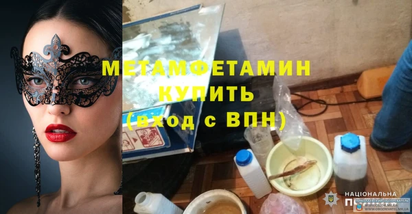 сатива Нефтекумск