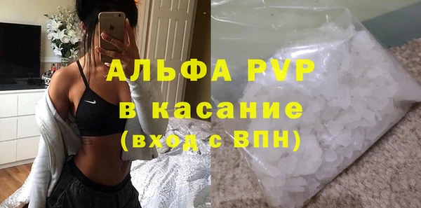 сатива Нефтекумск