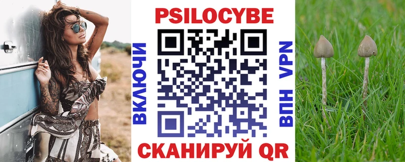 Купить закладки  Апатиты  Галлюциногенные грибы мицелий 