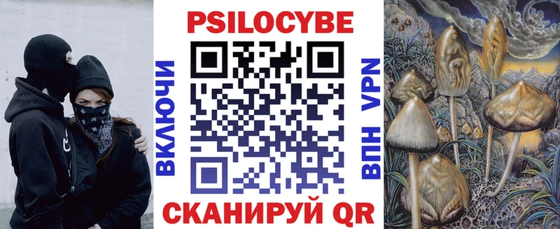 Псилоцибиновые грибы Psilocybe Апатиты