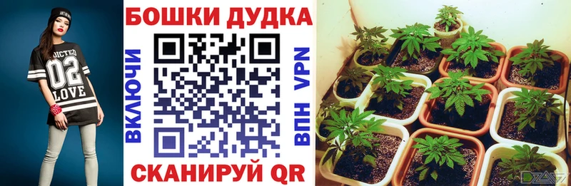 Шишки марихуана индика  Купить где  Апатиты 